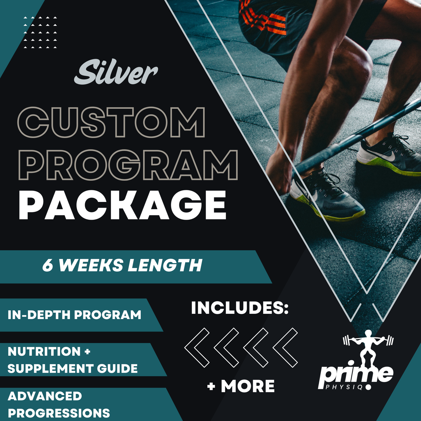 SILVER CUSTOM PROGRAM PACKAGE